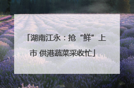 湖南江永：抢“鲜”上市 供港蔬菜采收忙